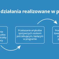 Podsumowanie realizacji programu FEPŻ, podprogramu 2024 w 2025 roku.